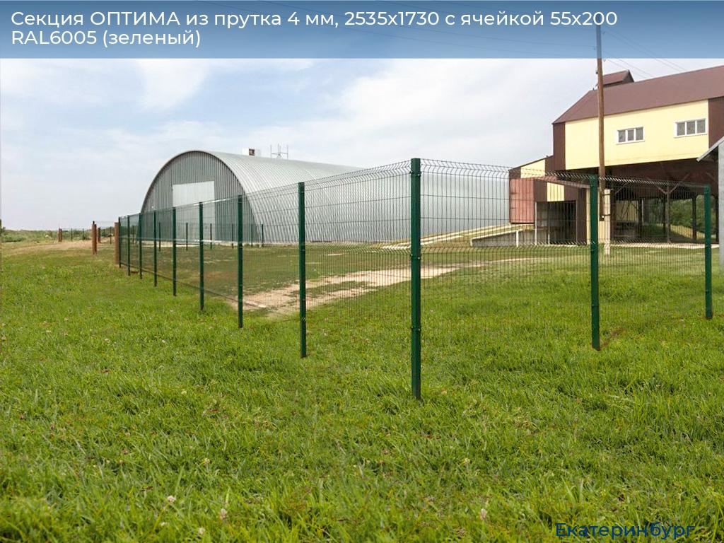 Секция ОПТИМА из прутка 4 мм, 2535x1730 с ячейкой 55х200 RAL6005 (зеленый), ekaterinburg.doorhan.ru