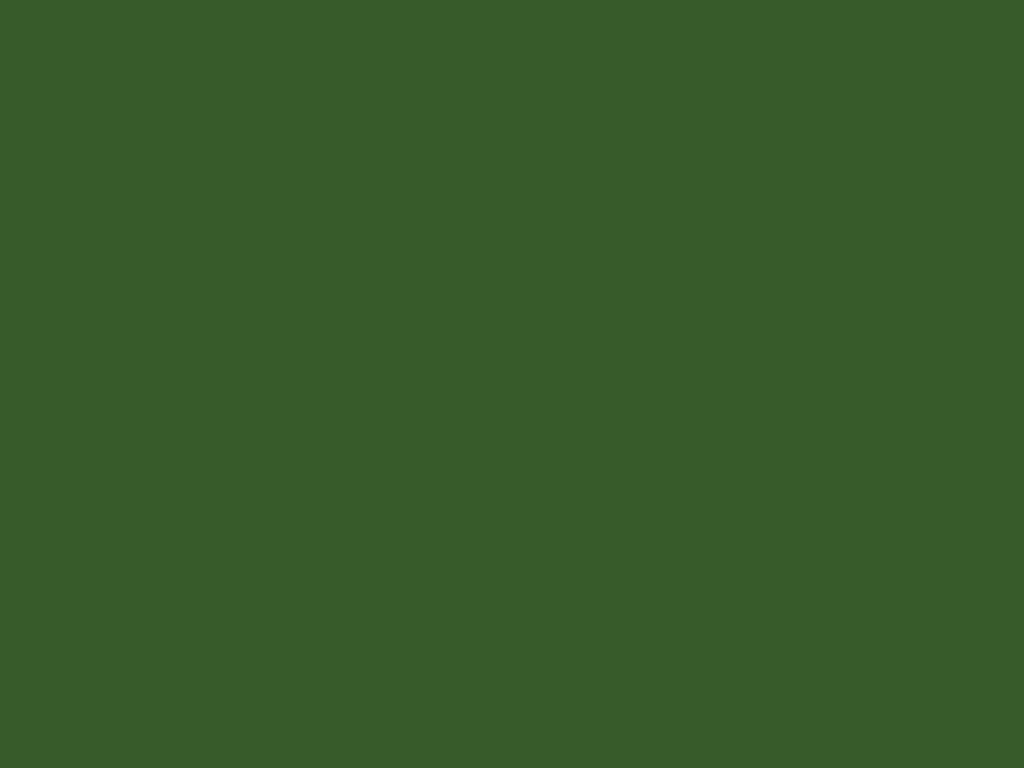 RAL 6025 (салатовый)